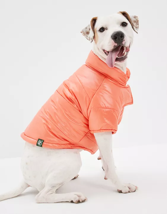 ABO Dog Puffer Coat