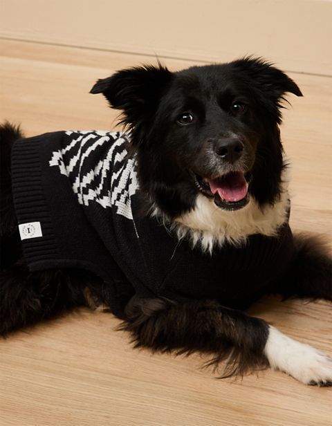 Женские свитеры American Eagle ABO Skeleton Dog Sweater