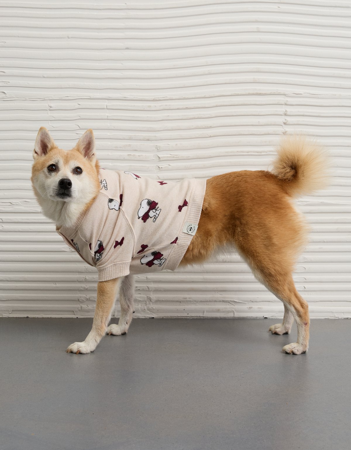 ABO Dog Sweater - image 2