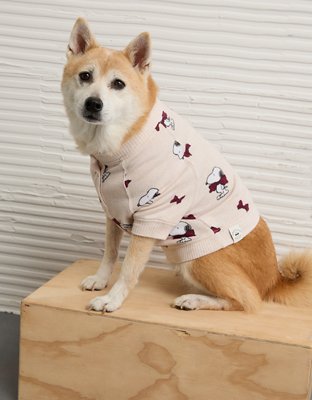 ABO Dog Sweater