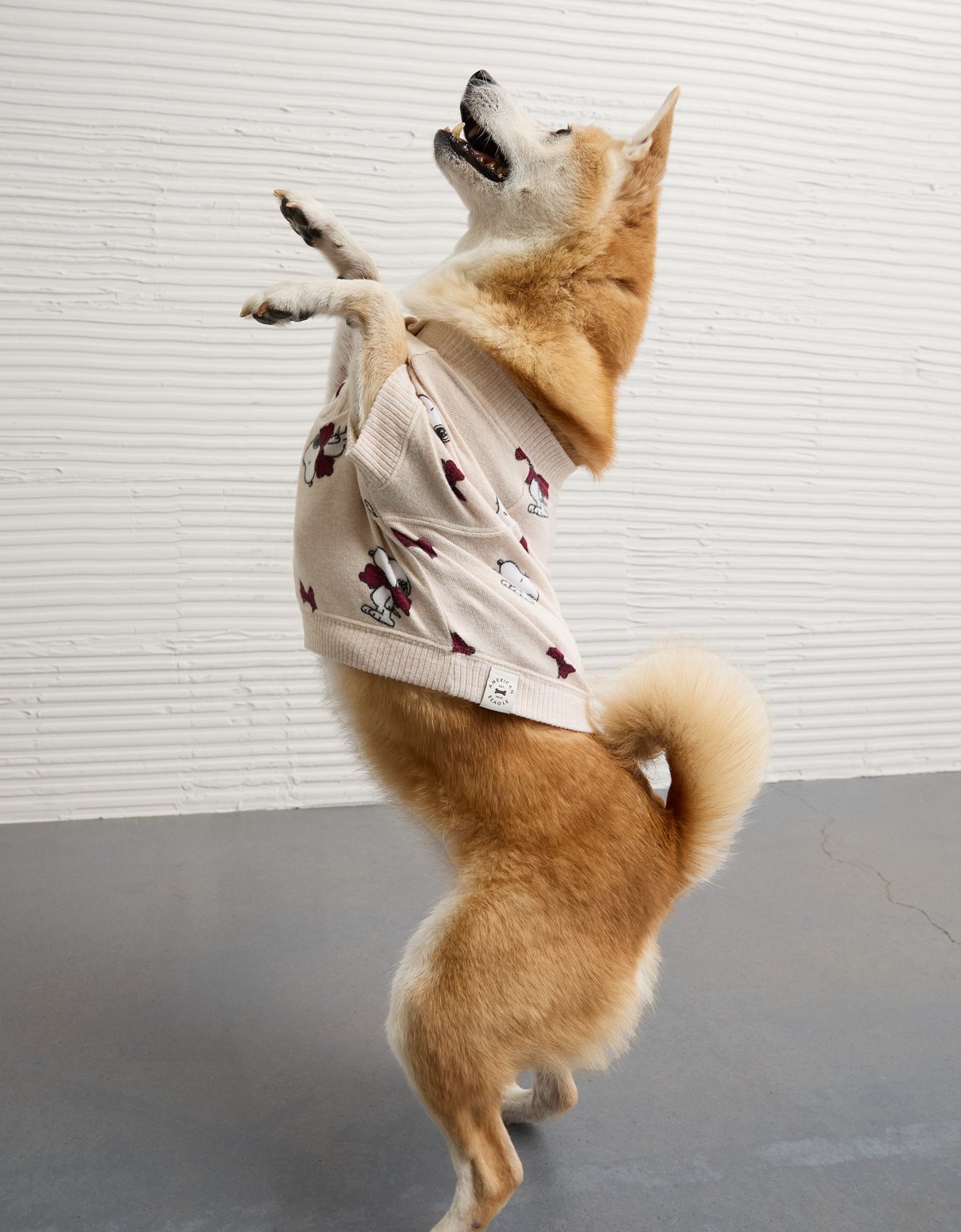 ABO Dog Sweater - image 5