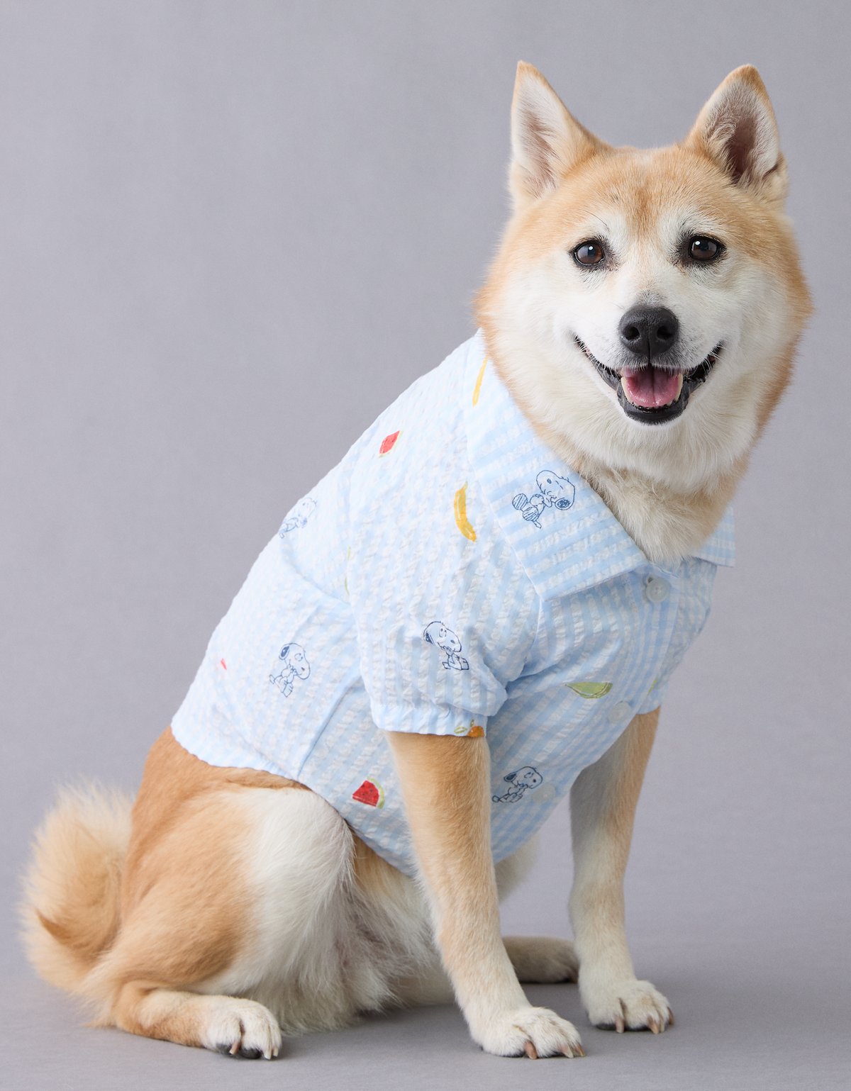 ABO Snoopy Fruit Button-Up Dog Shirt - image 2