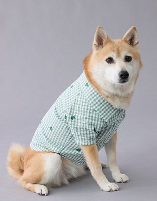 ABO Gingham Hearts Button-Up Dog Shirt