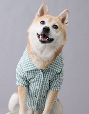 ABO Gingham Hearts Button-Up Dog Shirt