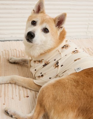 ABO Teddy Bear Dog Sweater