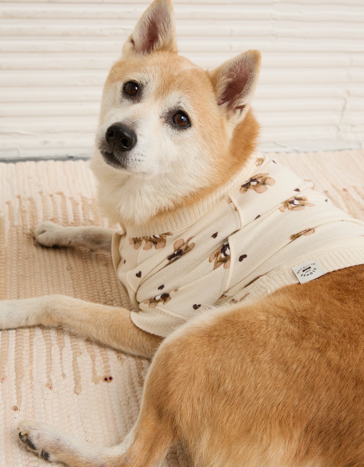 ABO Teddy Bear Dog Sweater - image 2