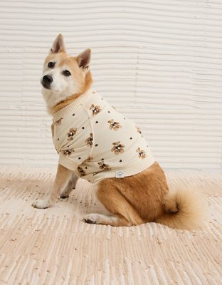 ABO Teddy Bear Dog Sweater
