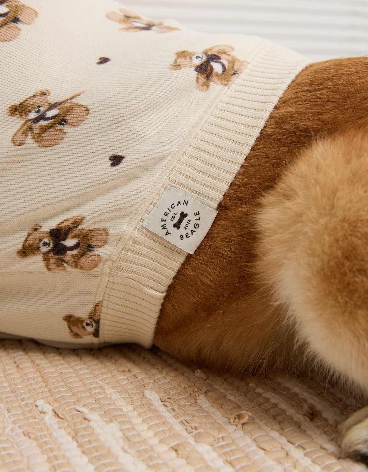 ABO Teddy Bear Dog Sweater - image 5
