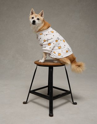 ABO Snoopy Pumpkin Plush Dog PJ Shirt