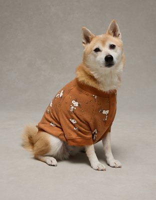 ABO Snoopy Fall Leaves Plush PJ Shirt