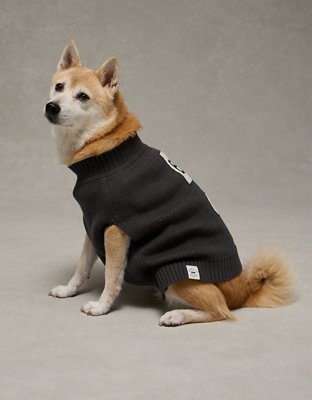 AE Snoopy Dog Sweater