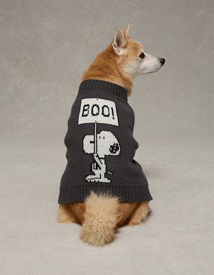 AE Snoopy Dog Sweater