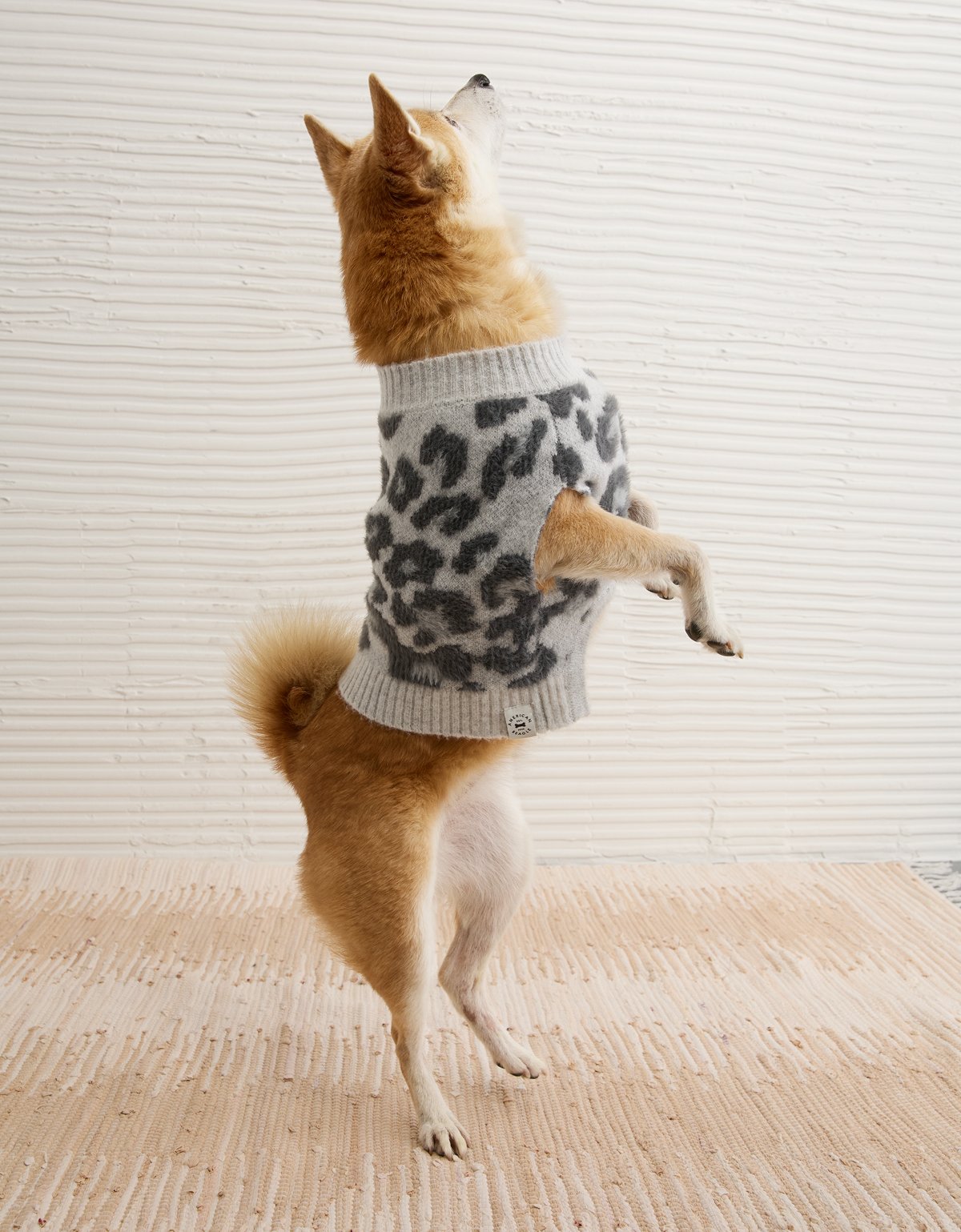ABO Leopard Print Dog Sweater - image 5
