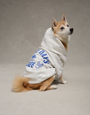 ABO Everyday Luxe Dog Hoodie