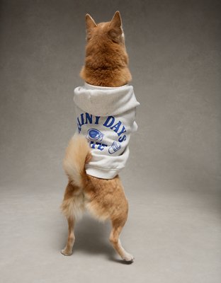 ABO Everyday Luxe Dog Hoodie