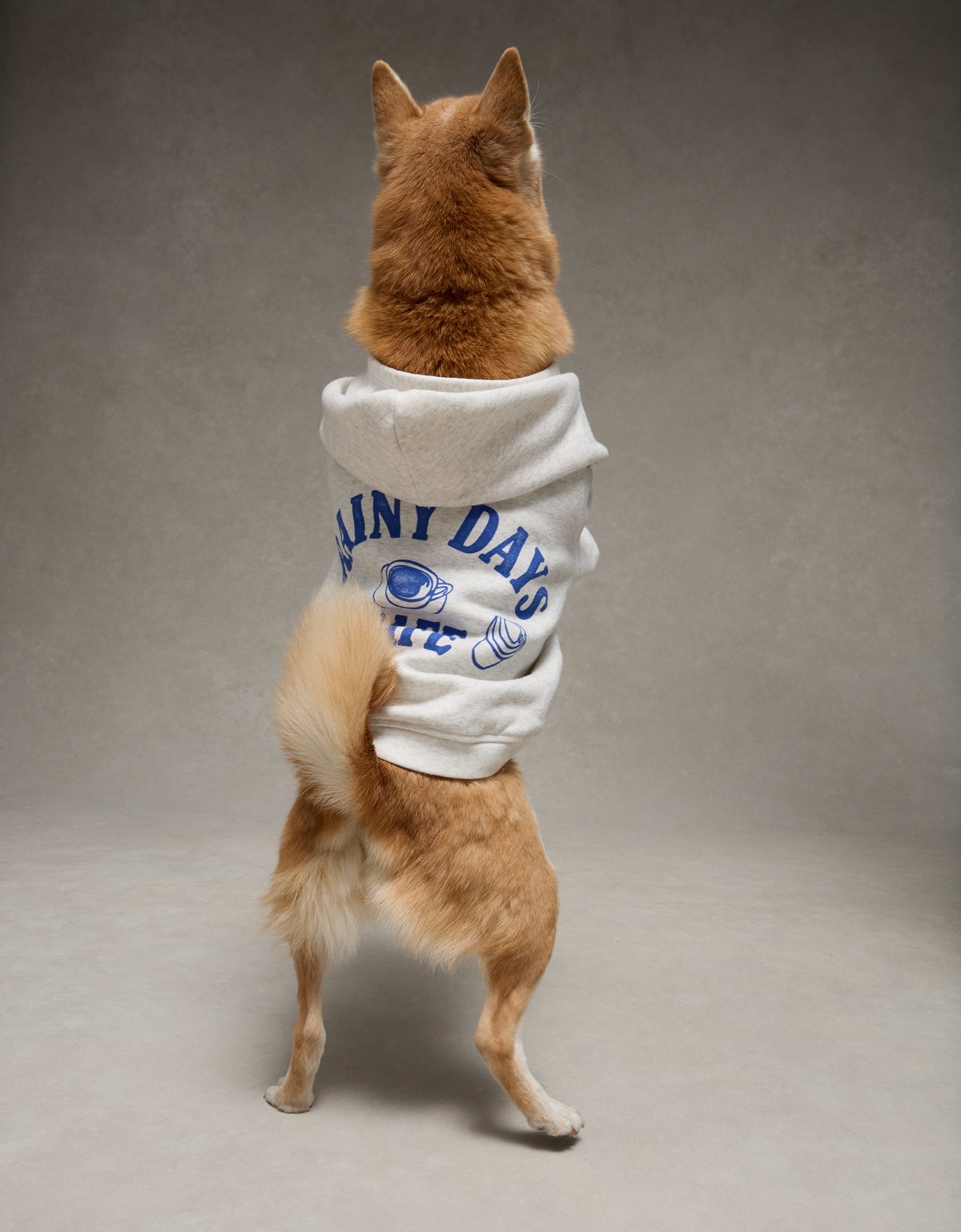 ABO Everyday Luxe Dog Hoodie - image 2