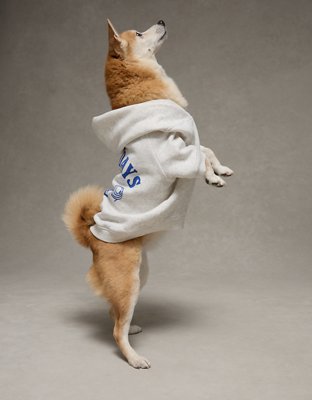 ABO Everyday Luxe Dog Hoodie