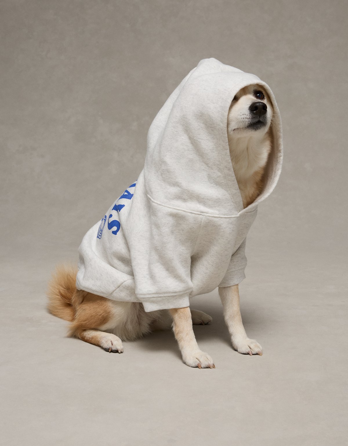 ABO Everyday Luxe Dog Hoodie - image 5