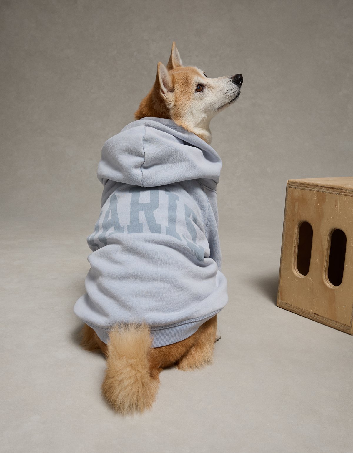 ABO Everyday Luxe Dog Hoodie - image 2