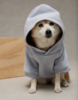 ABO Everyday Luxe Hoodie para Perro