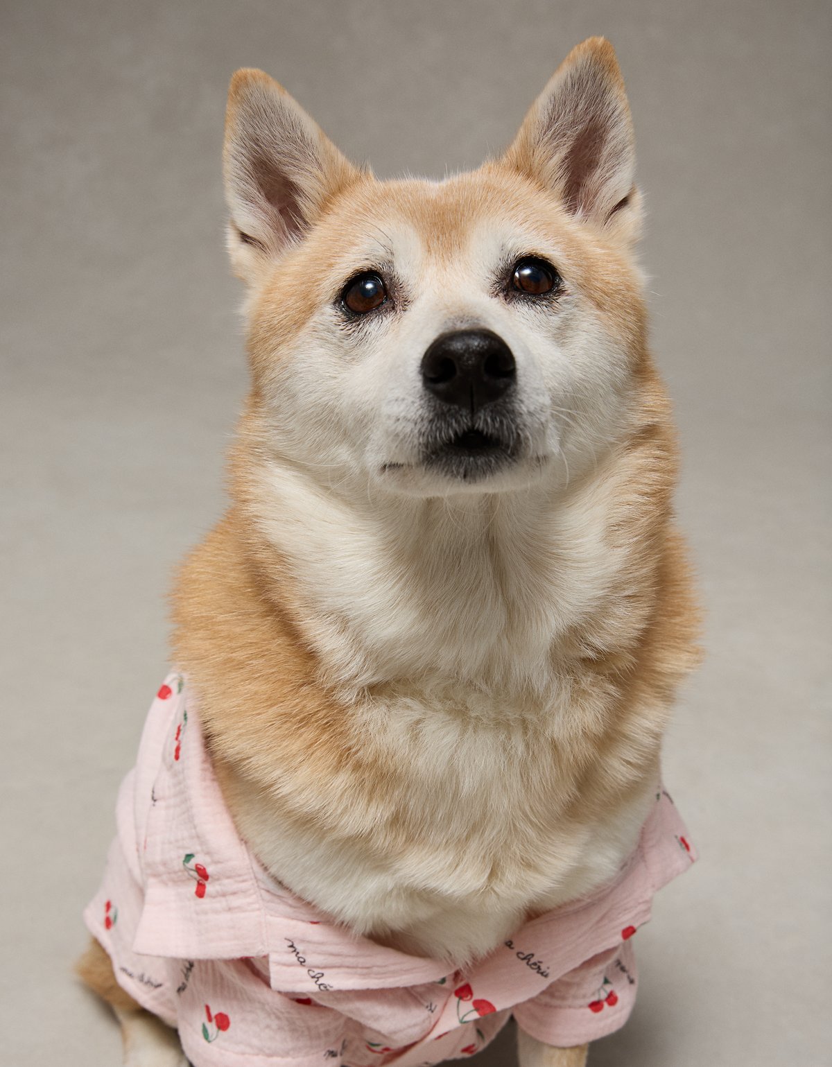 ABO Ma Cherie PJs - image 5
