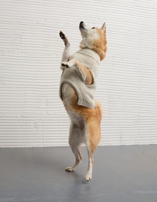 ABO Après-Ski Dog Sweater