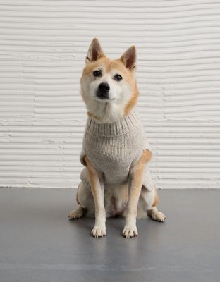 ABO Après-Ski Dog Sweater