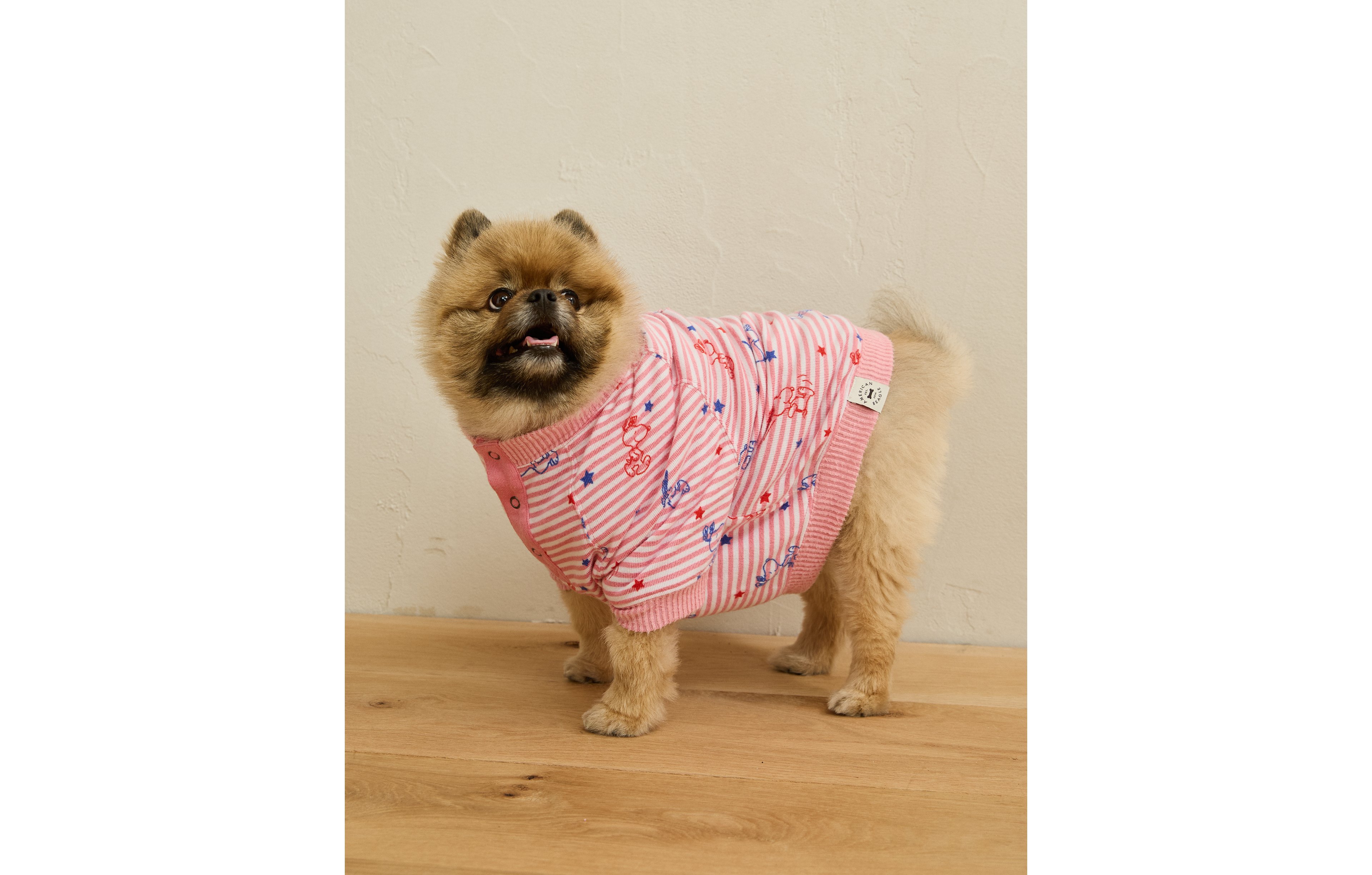 ABO Snoopy 4th of July Dog Sweater