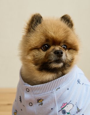 ABO Snoopy Plush PJ Top