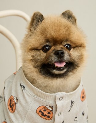 ABO Luxe Plush Snoopy PJ Top | American Eagle