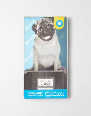 Mustard Dog In A Box Sticky Notes