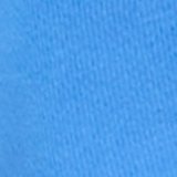 Rome Blue