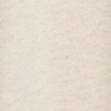 Aerie Street Trouser
