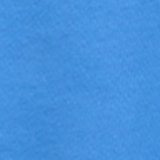 Rome Blue