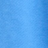 Rome Blue