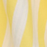 Citron