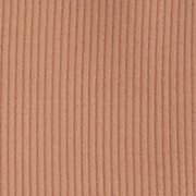 Raw Sienna