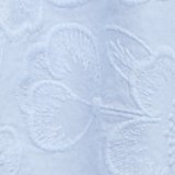 Eyelet Blue