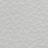 Natural White