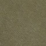 Olive Fun