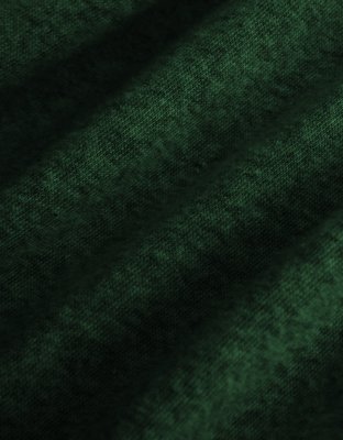 Aerie Sherpa Henley Sweatshirt