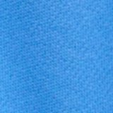Rome Blue