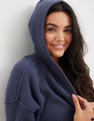 Aerie oversized coziest spring best sale street hoodie