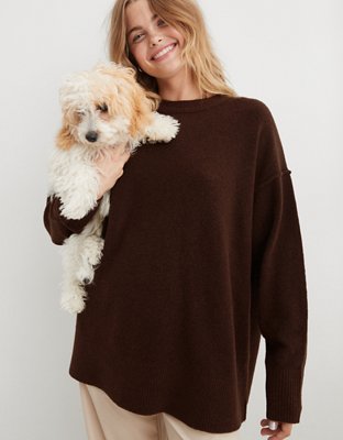 Aerie shop oversized sweater