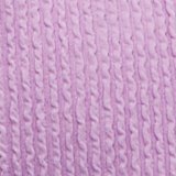 Violet Tulip