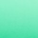 Neon Green
