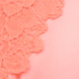 Coral Crush