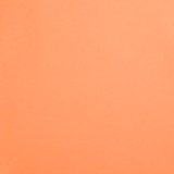 Neon Orange