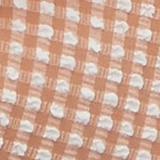 Raw Sienna