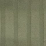 Olive Fun